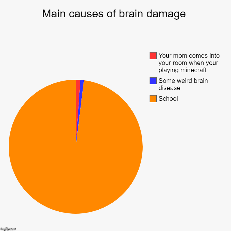 Main causes of brain damage | School, Some weird brain disease , Your mom comes into your room when your playing minecraft | image tagged in charts,pie charts | made w/ Imgflip chart maker