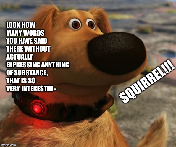 Dug the dog | LOOK HOW MANY WORDS YOU HAVE SAID THERE WITHOUT ACTUALLY EXPRESSING ANYTHING OF SUBSTANCE, THAT IS SO VERY INTERESTIN -; SQUIRREL!!! | image tagged in dug the dog | made w/ Imgflip meme maker