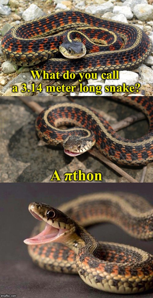 Snake Puns | What do you call a 3.14 meter long snake? A πthon | image tagged in snake puns | made w/ Imgflip meme maker