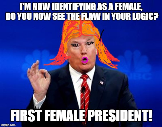 Trump Trade Deal | I'M NOW IDENTIFYING AS A FEMALE, DO YOU NOW SEE THE FLAW IN YOUR LOGIC? FIRST FEMALE PRESIDENT! | image tagged in trump trade deal | made w/ Imgflip meme maker