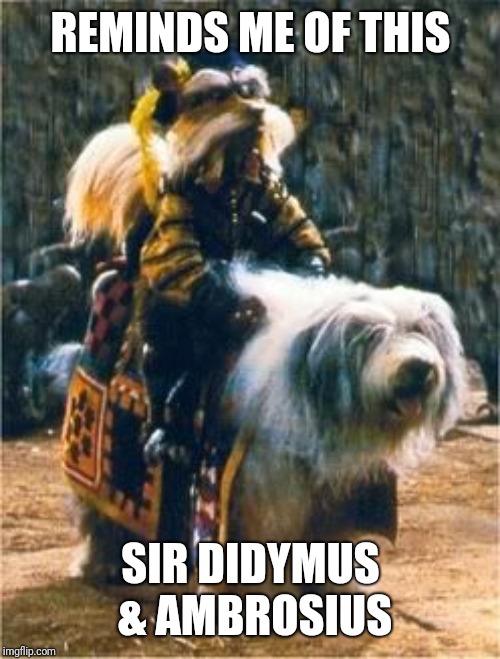 Sir Didymus and Ambrosius The Labyrinth | REMINDS ME OF THIS SIR DIDYMUS & AMBROSIUS | image tagged in sir didymus and ambrosius the labyrinth | made w/ Imgflip meme maker