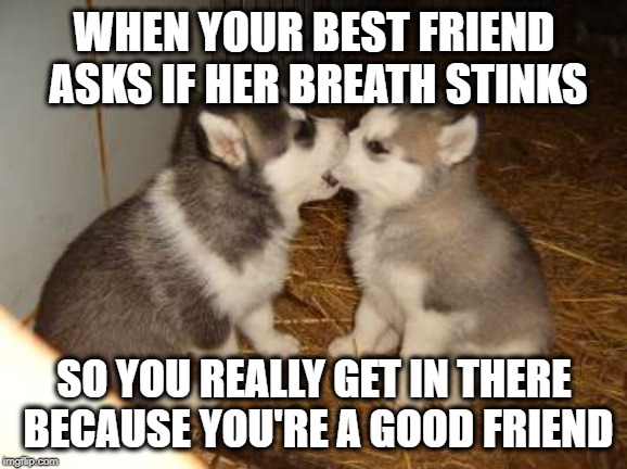 Bad Breath Checker (Doggo Week March 10-16 a Blaze_the_Blaziken and 1forpeace Event) | WHEN YOUR BEST FRIEND ASKS IF HER BREATH STINKS; SO YOU REALLY GET IN THERE BECAUSE YOU'RE A GOOD FRIEND | image tagged in memes,cute puppies,best friends,doggo week,bad breath,funny | made w/ Imgflip meme maker