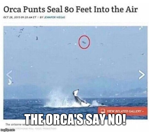 THE ORCA'S SAY NO! | made w/ Imgflip meme maker