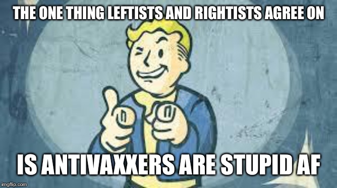 fallout | THE ONE THING LEFTISTS AND RIGHTISTS AGREE ON IS ANTIVAXXERS ARE STUPID AF | image tagged in fallout | made w/ Imgflip meme maker