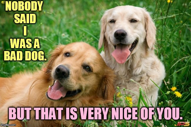 NOBODY SAID I WAS A BAD DOG. BUT THAT IS VERY NICE OF YOU. | made w/ Imgflip meme maker