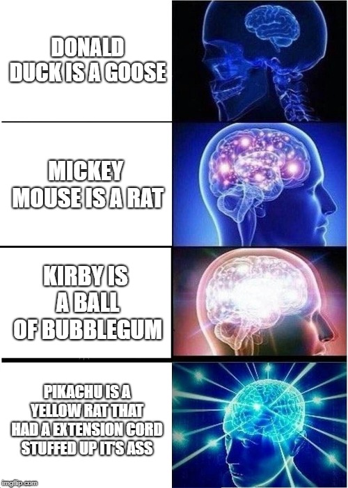 Expanding Brain | DONALD DUCK IS A GOOSE; MICKEY MOUSE IS A RAT; KIRBY IS A BALL OF BUBBLEGUM; PIKACHU IS A YELLOW RAT THAT HAD A EXTENSION CORD STUFFED UP IT'S ASS | image tagged in memes,expanding brain | made w/ Imgflip meme maker