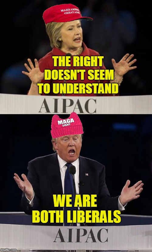 THE RIGHT DOESN'T SEEM TO UNDERSTAND; WE ARE BOTH LIBERALS | image tagged in maga,hillary clinton,donald trump,isis,israel | made w/ Imgflip meme maker