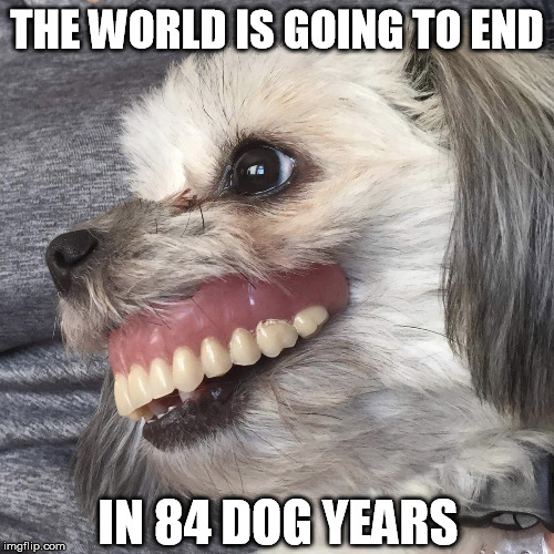 DOGGO WEEK - AOC dog revelation | THE WORLD IS GOING TO END; IN 84 DOG YEARS | image tagged in big gummed dog,doggo week,alexandria ocasio-cortez | made w/ Imgflip meme maker