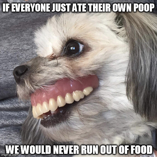 DOGGO WEEK - AOC solves world hunger | IF EVERYONE JUST ATE THEIR OWN POOP; WE WOULD NEVER RUN OUT OF FOOD | image tagged in big gummed dog,doggo week,alexandria ocasio-cortez | made w/ Imgflip meme maker
