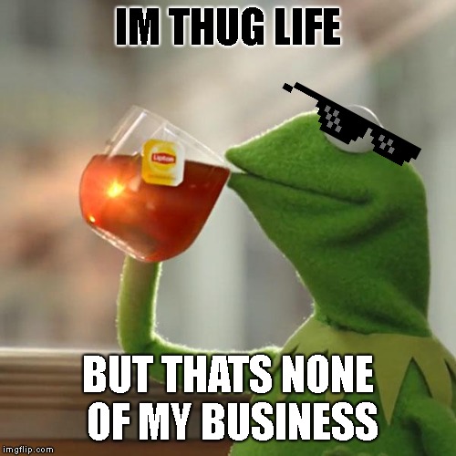 U are very wrong, it is ur business | IM THUG LIFE; BUT THATS NONE OF MY BUSINESS | image tagged in memes,but thats none of my business,kermit the frog | made w/ Imgflip meme maker