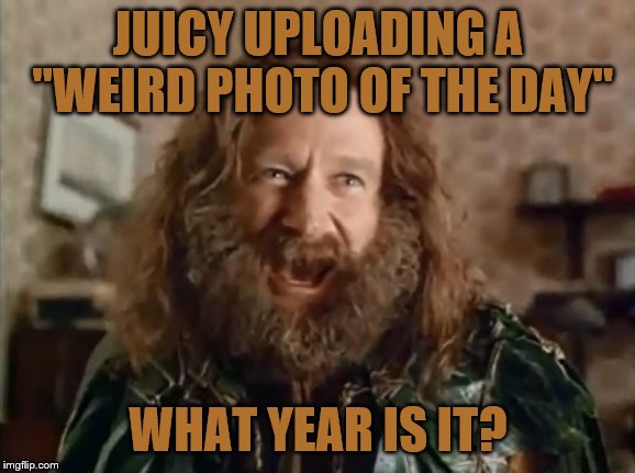 What Year Is It Meme | JUICY UPLOADING A "WEIRD PHOTO OF THE DAY" WHAT YEAR IS IT? | image tagged in memes,what year is it | made w/ Imgflip meme maker