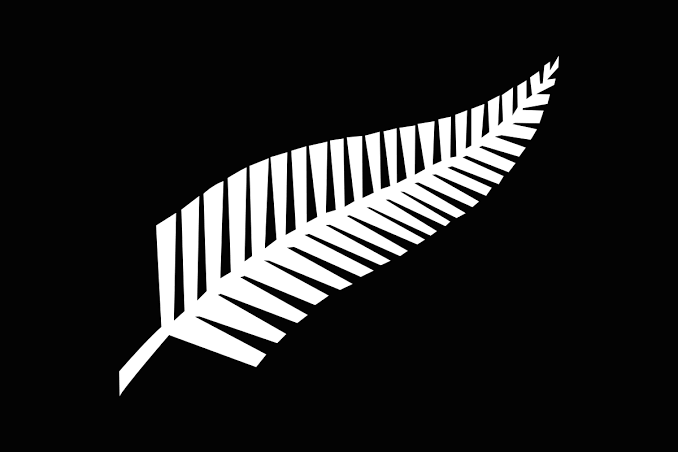 High Quality New Zealand solidarity Blank Meme Template