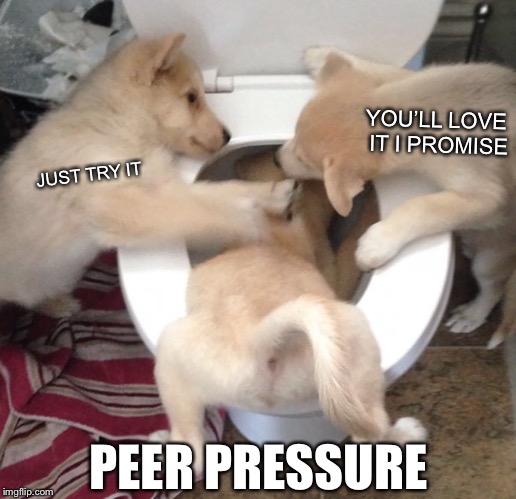 YOU’LL LOVE IT I PROMISE; JUST TRY IT; PEER PRESSURE | image tagged in doggo week,memes,funny,peer pressure,toilet water | made w/ Imgflip meme maker