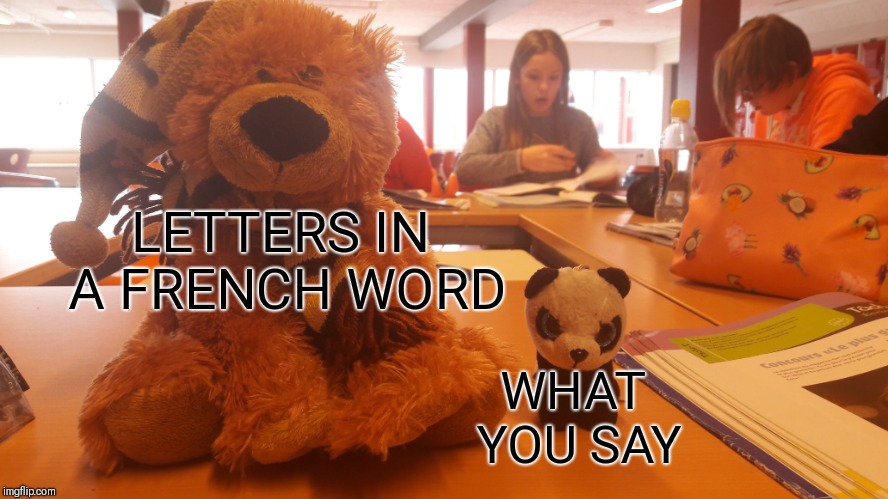 LETTERS IN A FRENCH WORD; WHAT YOU SAY | image tagged in memes | made w/ Imgflip meme maker