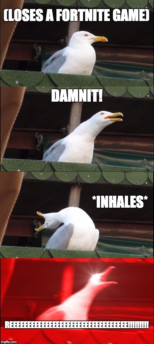 Inhaling Seagull | (LOSES A FORTNITE GAME); DAMNIT! *INHALES*; REEEEEEEEEEEEEEEEEEEEEEEEEEEEEEEEE!!!!!!!!! | image tagged in memes,inhaling seagull | made w/ Imgflip meme maker