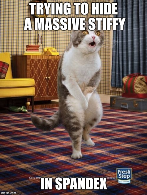 Gotta Go Cat Meme | TRYING TO HIDE A MASSIVE STIFFY; IN SPANDEX | image tagged in memes,gotta go cat | made w/ Imgflip meme maker