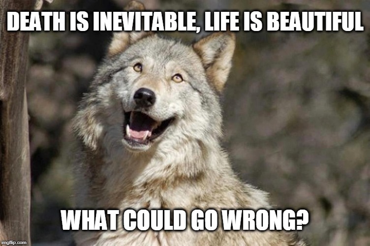 Optimistic Moon Moon Wolf Vanadium Wolf | DEATH IS INEVITABLE, LIFE IS BEAUTIFUL; WHAT COULD GO WRONG? | image tagged in optimistic moon moon wolf vanadium wolf | made w/ Imgflip meme maker