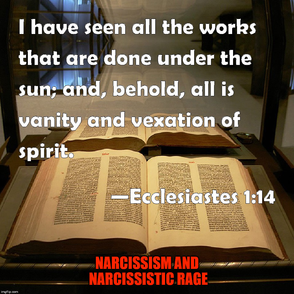 Ecclesiastes 1:14 | NARCISSISM AND NARCISSISTIC RAGE | image tagged in sun,bible,vanity,spirit,narcissism,rage | made w/ Imgflip meme maker