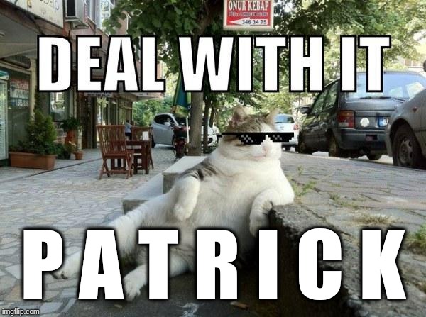 Deal with it cat | P A T R I C K | image tagged in deal with it cat | made w/ Imgflip meme maker