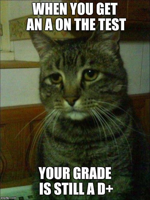Depressed Cat | WHEN YOU GET AN A ON THE TEST; YOUR GRADE IS STILL A D+ | image tagged in memes,depressed cat | made w/ Imgflip meme maker