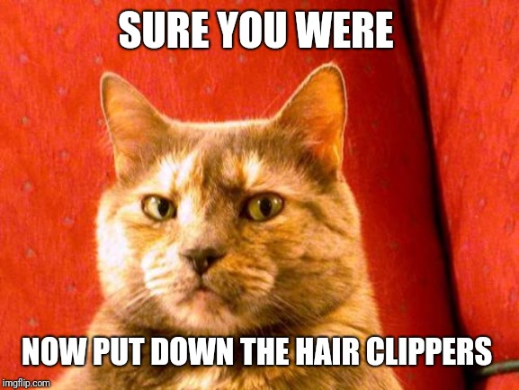 Suspicious Cat Meme | SURE YOU WERE NOW PUT DOWN THE HAIR CLIPPERS | image tagged in memes,suspicious cat | made w/ Imgflip meme maker