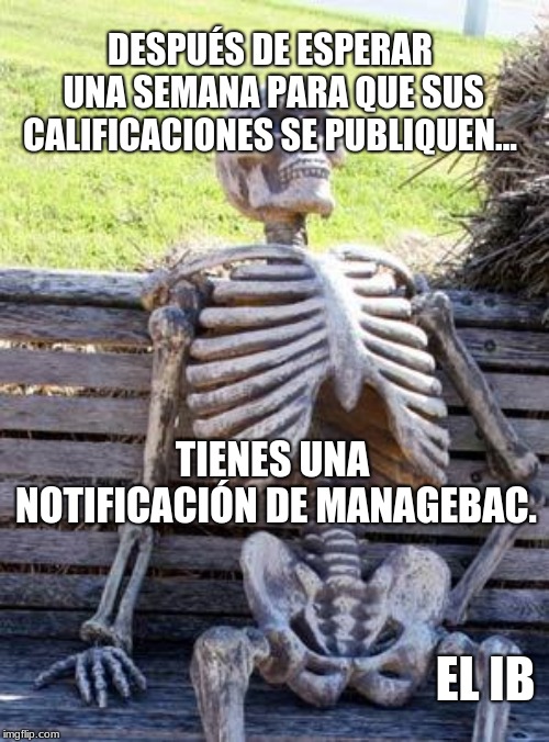Waiting Skeleton Meme | DESPUÉS DE ESPERAR UNA SEMANA PARA QUE SUS CALIFICACIONES SE PUBLIQUEN... TIENES UNA NOTIFICACIÓN DE MANAGEBAC. EL IB | image tagged in memes,waiting skeleton | made w/ Imgflip meme maker
