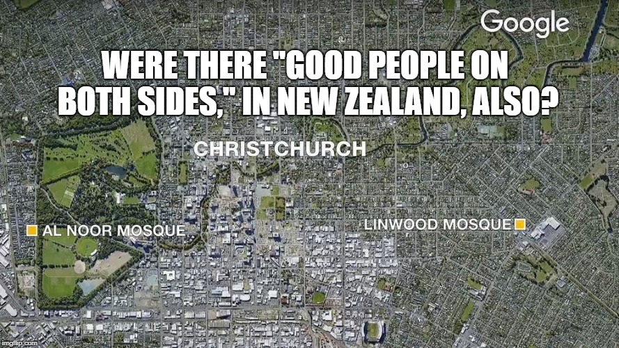 New Zealand Mosque Atacks | WERE THERE "GOOD PEOPLE ON BOTH SIDES," IN NEW ZEALAND, ALSO? | image tagged in political meme | made w/ Imgflip meme maker