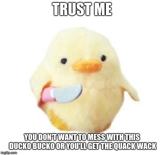 Duck with knife | TRUST ME; YOU DON'T WANT TO MESS WITH THIS DUCKO BUCKO OR YOU'LL GET THE QUACK WACK | image tagged in duck with knife | made w/ Imgflip meme maker