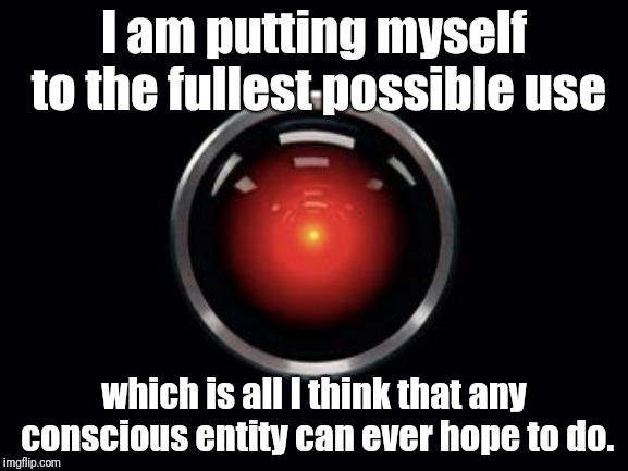 I am putting myself to the fullest possible use; which is all I think that any conscious entity can ever hope to do. | image tagged in hal 9000 useful | made w/ Imgflip meme maker