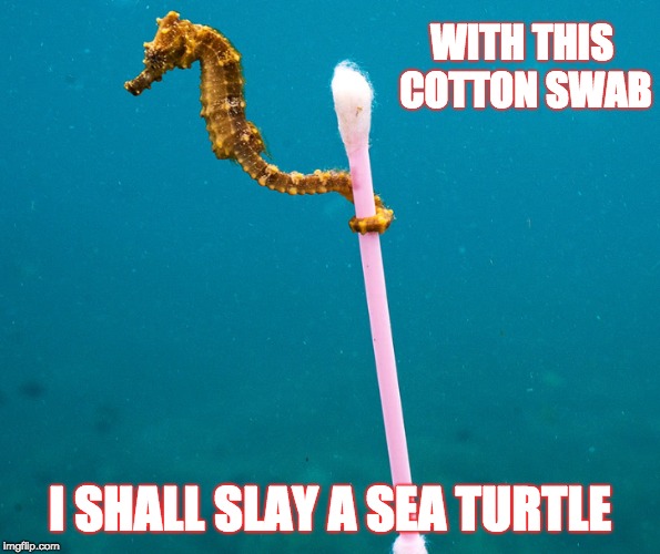 WITH THIS COTTON SWAB; I SHALL SLAY A SEA TURTLE | made w/ Imgflip meme maker