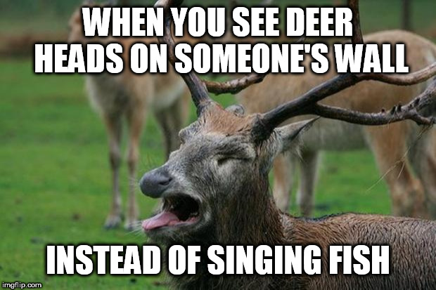 Disgusted Deer | WHEN YOU SEE DEER HEADS ON SOMEONE'S WALL; INSTEAD OF SINGING FISH | image tagged in disgusted deer,hunting,fishing | made w/ Imgflip meme maker