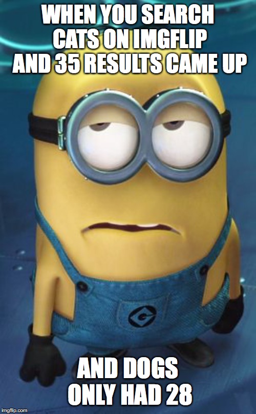 Minion Eye Roll | WHEN YOU SEARCH CATS ON IMGFLIP AND 35 RESULTS CAME UP; AND DOGS ONLY HAD 28 | image tagged in minion eye roll | made w/ Imgflip meme maker