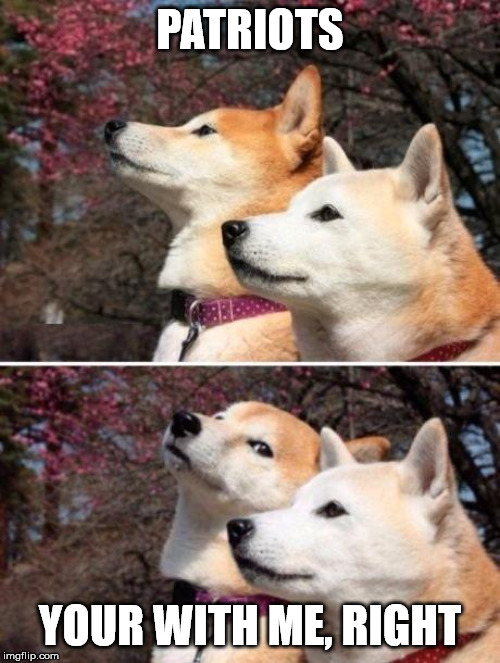 shiba bad joke | PATRIOTS; YOUR WITH ME, RIGHT | image tagged in shiba bad joke | made w/ Imgflip meme maker