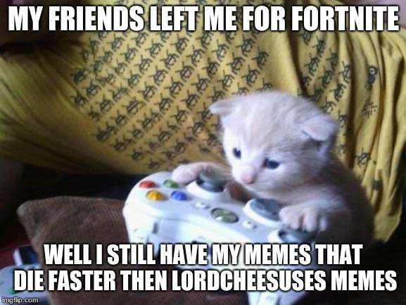 cute kitty on xbox | MY FRIENDS LEFT ME FOR FORTNITE; WELL I STILL HAVE MY MEMES THAT DIE FASTER THEN LORDCHEESUSES MEMES | image tagged in cute kitty on xbox | made w/ Imgflip meme maker