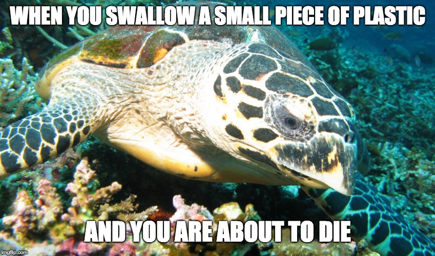 This image has an empty alt attribute; its file name is 2w46oq.jpg