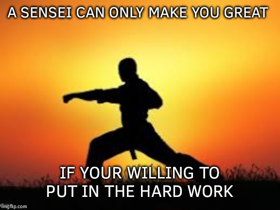 Sensei | A SENSEI CAN ONLY MAKE YOU GREAT; IF YOUR WILLING TO PUT IN THE HARD WORK | image tagged in karate | made w/ Imgflip meme maker