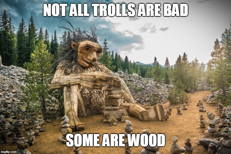 Don't Hate On All the Trolls | NOT ALL TROLLS ARE BAD; SOME ARE WOOD | image tagged in trolls,internet trolls,trolling,alt using trolls | made w/ Imgflip meme maker