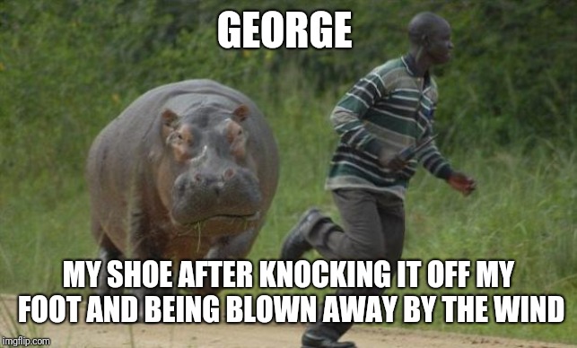 hippo chase | GEORGE; MY SHOE AFTER KNOCKING IT OFF MY FOOT AND BEING BLOWN AWAY BY THE WIND | image tagged in hippo chase | made w/ Imgflip meme maker