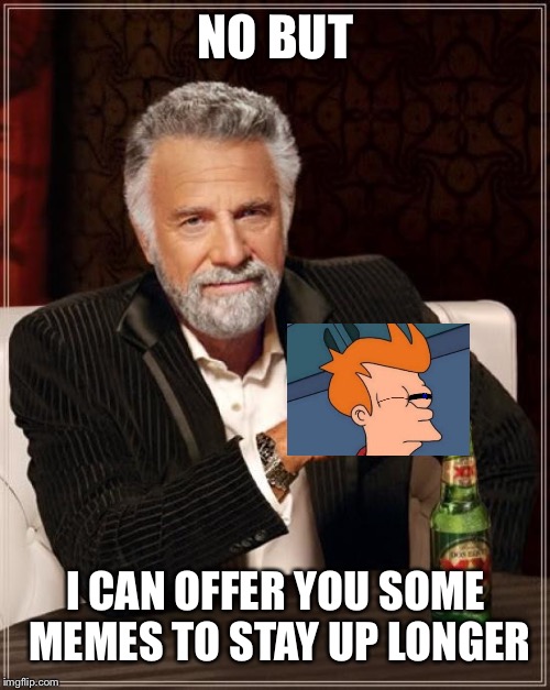 The Most Interesting Man In The World Meme | NO BUT I CAN OFFER YOU SOME MEMES TO STAY UP LONGER | image tagged in memes,the most interesting man in the world | made w/ Imgflip meme maker