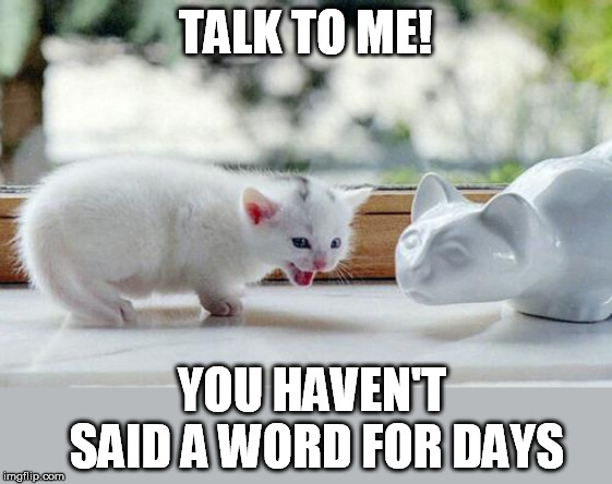Say something | TALK TO ME! YOU HAVEN'T SAID A WORD FOR DAYS | image tagged in silent,talking,cats | made w/ Imgflip meme maker
