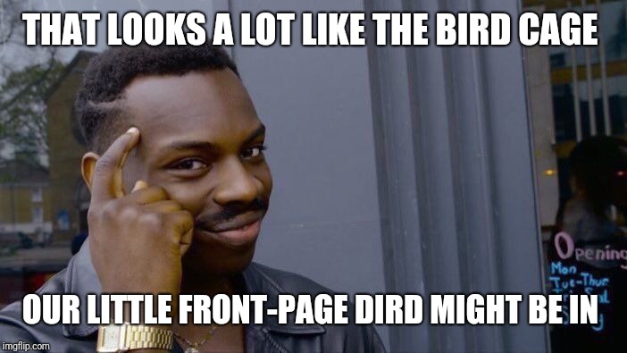 Roll Safe Think About It Meme | THAT LOOKS A LOT LIKE THE BIRD CAGE OUR LITTLE FRONT-PAGE DIRD MIGHT BE IN | image tagged in memes,roll safe think about it | made w/ Imgflip meme maker