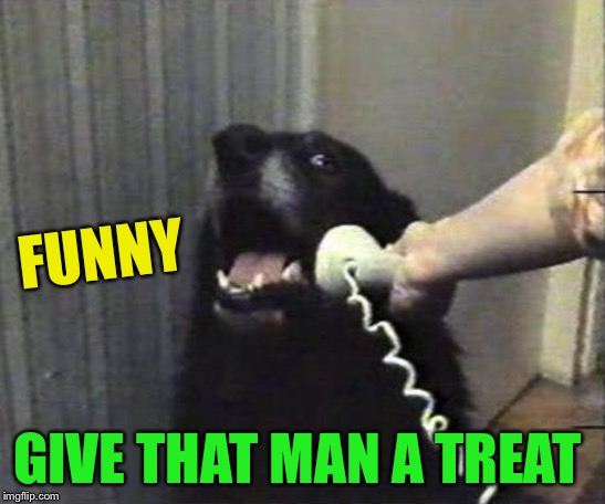 Yes this is dog | FUNNY GIVE THAT MAN A TREAT | image tagged in yes this is dog | made w/ Imgflip meme maker