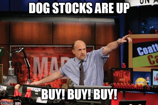 Mad Money Jim Cramer Meme | DOG STOCKS ARE UP BUY! BUY! BUY! | image tagged in memes,mad money jim cramer | made w/ Imgflip meme maker