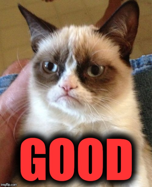 Grumpy Cat Meme | GOOD | image tagged in memes,grumpy cat | made w/ Imgflip meme maker