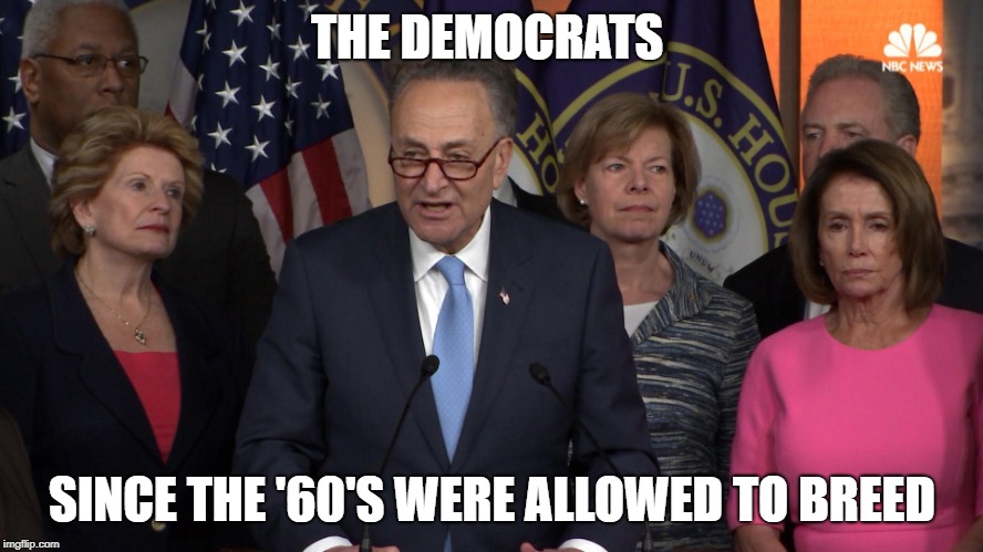 Democrat congressmen | THE DEMOCRATS; SINCE THE '60'S WERE ALLOWED TO BREED | image tagged in democrat congressmen | made w/ Imgflip meme maker