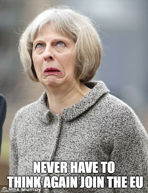 Theresa May | NEVER HAVE TO THINK AGAIN JOIN THE EU | image tagged in theresa may | made w/ Imgflip meme maker