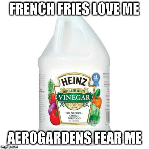 vinegar | FRENCH FRIES LOVE ME; AEROGARDENS FEAR ME | image tagged in vinegar | made w/ Imgflip meme maker