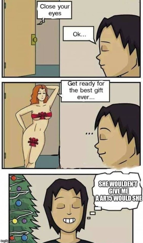 best gift | SHE WOULDEN'T GIVE ME A AR15 WOULD SHE | image tagged in best gift | made w/ Imgflip meme maker