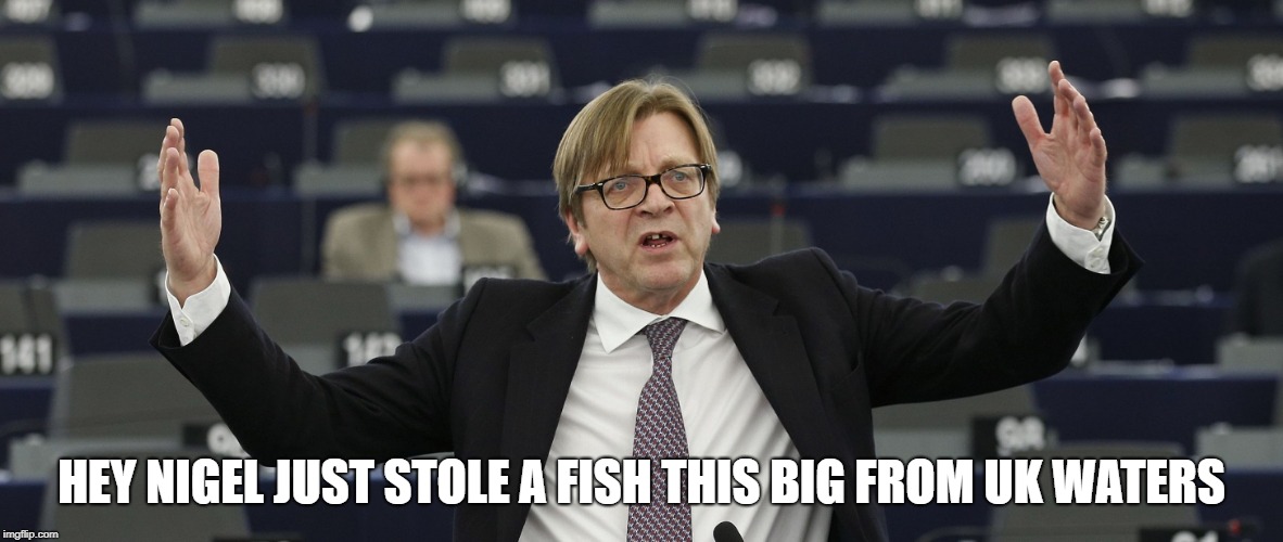 verhofstadt | HEY NIGEL JUST STOLE A FISH THIS BIG FROM UK WATERS | image tagged in verhofstadt | made w/ Imgflip meme maker