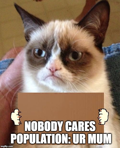 Grumpy Cat Cardboard Sign | NOBODY CARES POPULATION: UR MUM | image tagged in grumpy cat cardboard sign | made w/ Imgflip meme maker